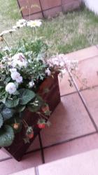 20160424_1801572.jpg